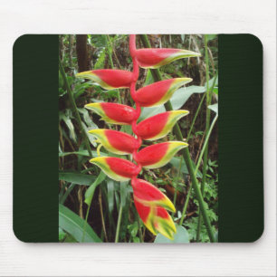 Lobster Claw Flower- Heliconia Rostrata Mouse Mat