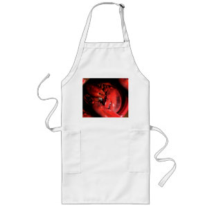 Lobster Claw Long Apron