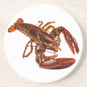Lobster Coaster