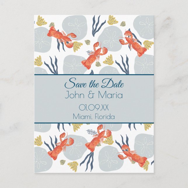 Lobster Crustacean Beach Sand Dollars Botanical  Postcard (Front)