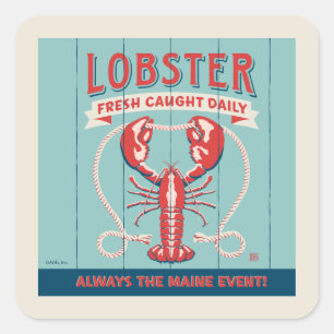 Lobster Fresh Caught Daily   Maine Square Sticker