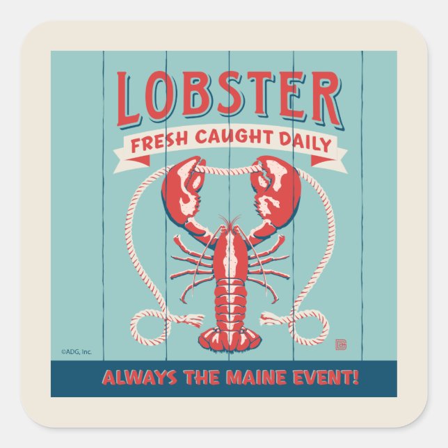 Lobster Fresh Caught Daily | Maine Square Sticker (Front)