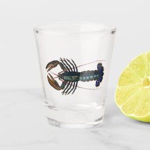 Lobster - Homard Commun