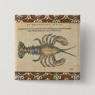 Lobster Illustration Antique Maine Seafood 15 Cm Square Badge