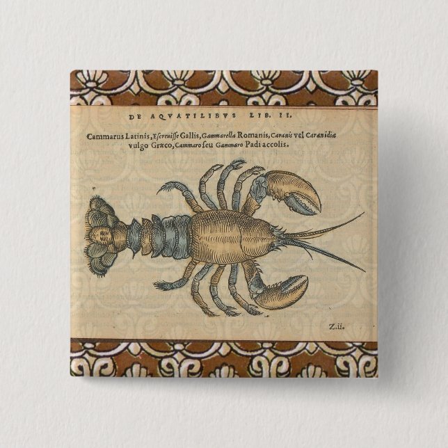 Lobster Illustration Antique Maine Seafood 15 Cm Square Badge (Front)
