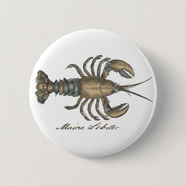 Lobster Illustration Antique Maine Seafood 6 Cm Round Badge (Front)