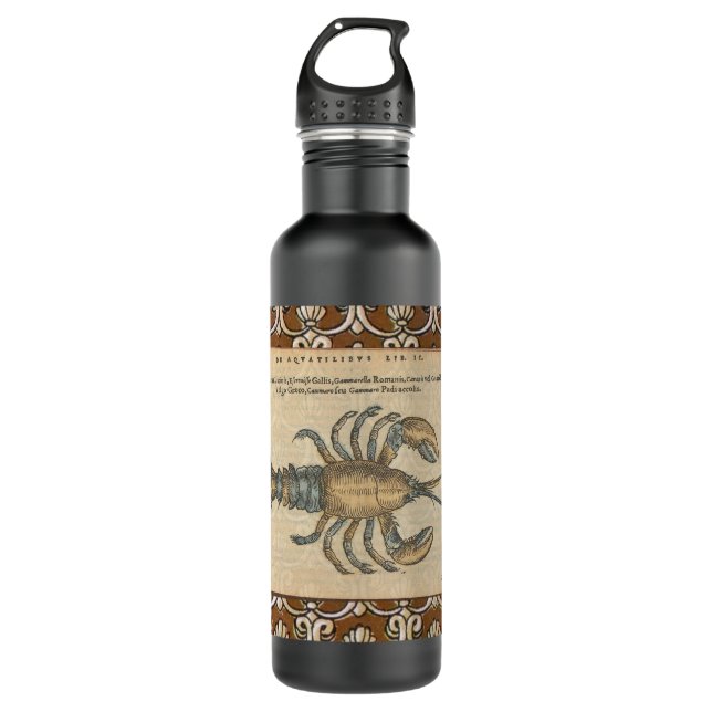Lobster Illustration Antique Maine Seafood 710 Ml Water Bottle (Front)