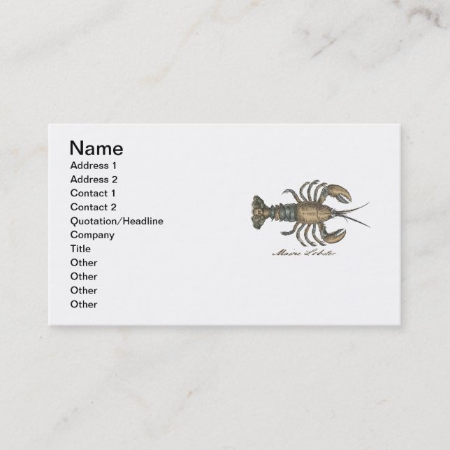 Lobster Illustration Antique Maine Seafood Business Card (Front)