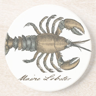 Lobster Illustration Antique Maine Seafood Coaster