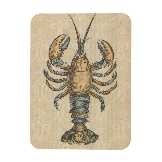 Lobster Illustration Antique Maine Seafood Magnet (Vertical)