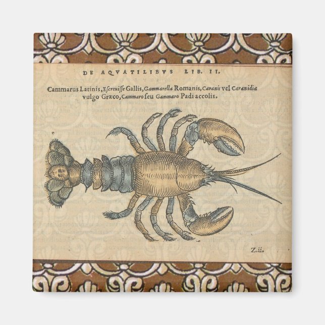 Lobster Illustration Antique Maine Seafood Magnet (Front)