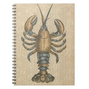 Lobster Illustration Antique Maine Seafood Notebook