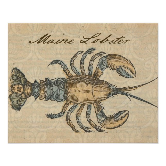 Lobster Illustration Antique Maine Seafood Poster (Front)