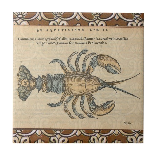 Lobster Illustration Antique Maine Seafood Tile (Front)
