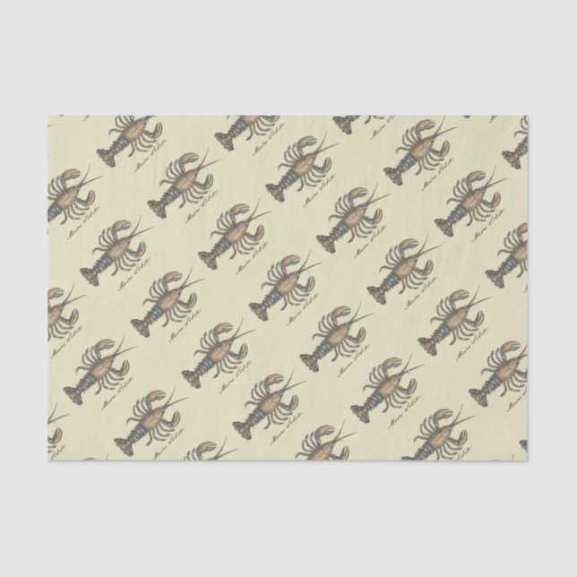 Lobster Illustration Antique Maine Seafood Tissue Paper (Front)