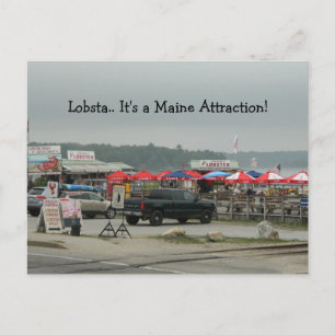 Lobster Lobsta Maine attraction wiscasset signs PC Postcard