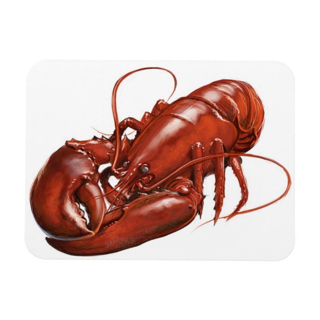 Lobster magnet (Horizontal)