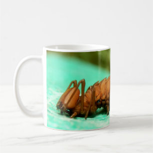 Lobster Moth Caterpillar Bug Mug