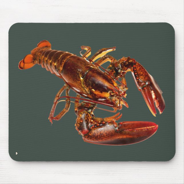 Lobster Mouse Mat (Front)