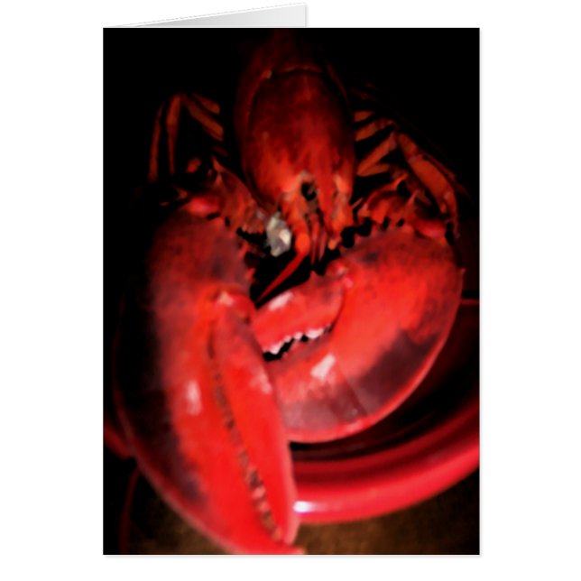 Lobster Photography (Front)
