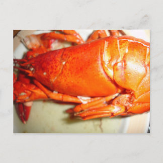 Lobster Postcard