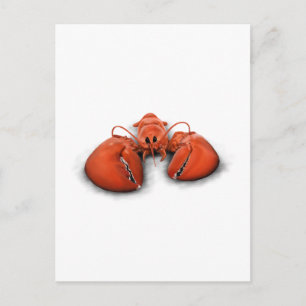 Lobster Postcard