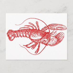 Lobster Postcard