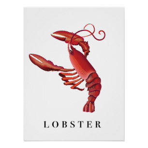 Lobster Poster