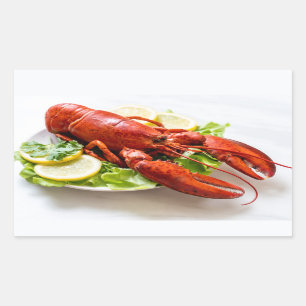Lobster Rectangular Sticker