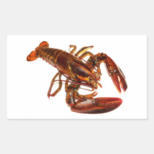Lobster Rectangular Sticker