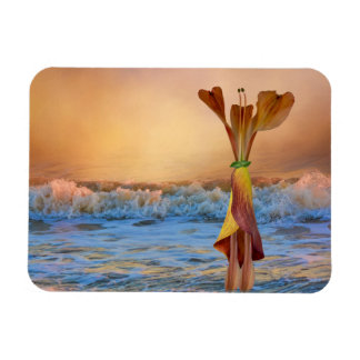 Lobster’s Day at the Beach magnet