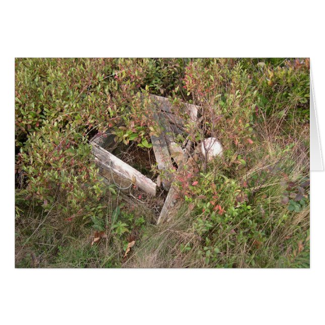 Lobsterman's box and bobber, Maine, USA (Front Horizontal)