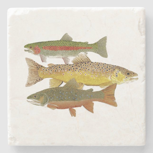 Local Beauties- Trout Stone Coaster (Front)