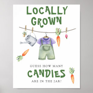 locally grown baby shower - guess how many candies poster