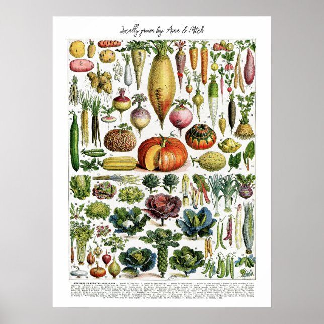 Locally Grown French Vintage Vegetables Chart (Front)