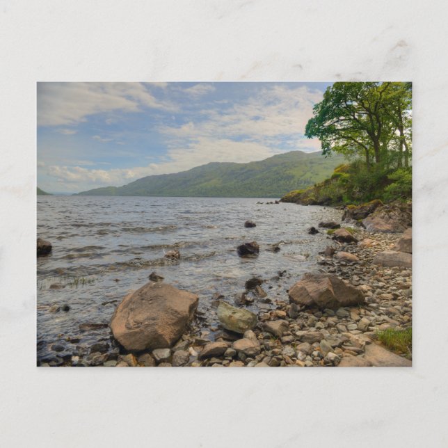 Loch Lomond Shoreline Landscape Postcard (Front)