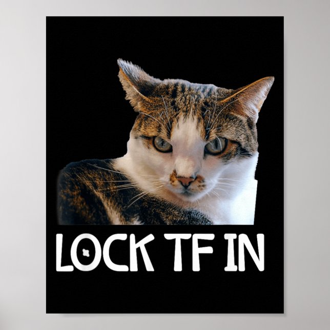 Lock Tf in Cat Focus Mindset Meme Funny Poster (Front)