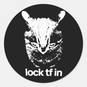 Lock TF in Cat Funny Cats Meme Graphics Quotes Classic Round Sticker