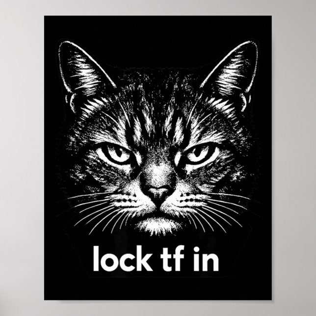 Lock tf in cat funny sarcastic  poster (Front)