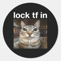 Lock TF in Cat Meme