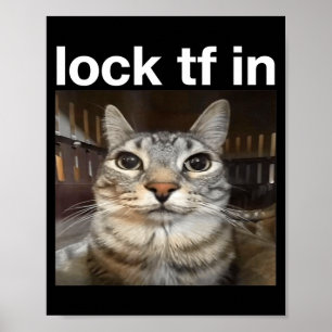Lock TF in Cat Meme Poster