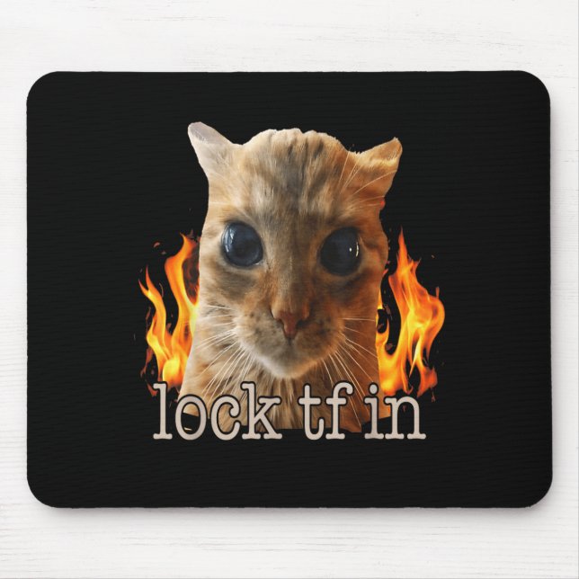 Lock tf in cat mouse mat (Front)