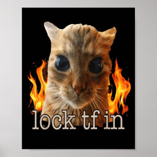 Lock tf in cat poster