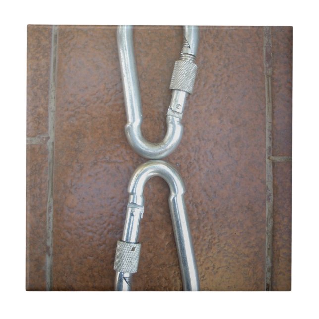 Locked In: Durable Steel Carabiner Lock Design Tile (Front)