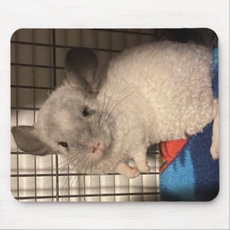 Locken "Curly" Chinchilla Mousepad