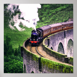 Locomotive Train on Bridge Poster