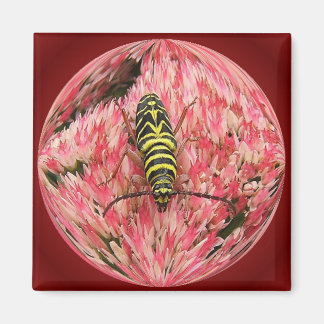 Locust Borer 3 ~ magnet