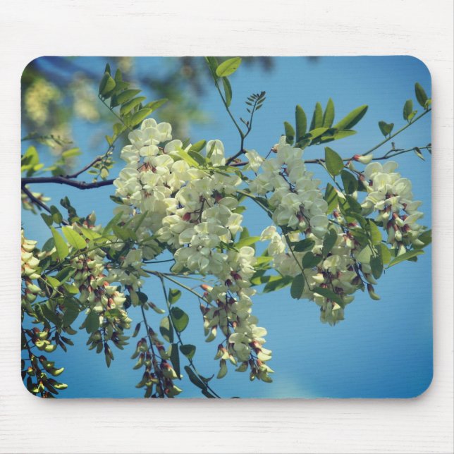 Locust Flower Blossoms  Mouse Mat (Front)