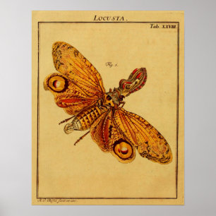 Locusta Poster