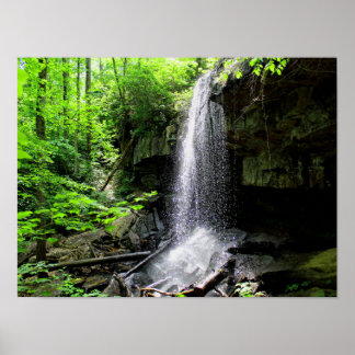 Lodge Falls, Alabama Poster